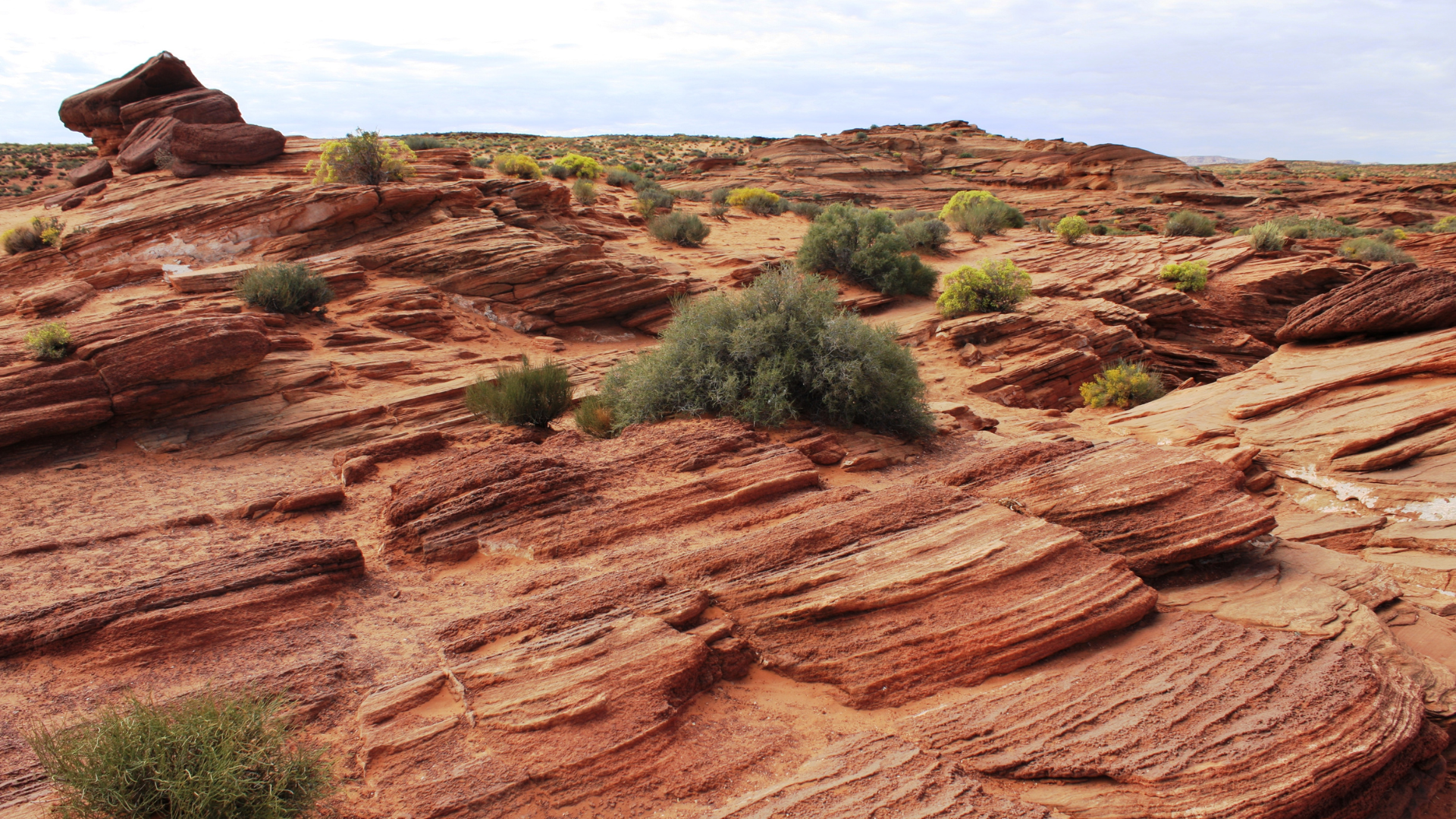 発信体制とノウハウの欠如