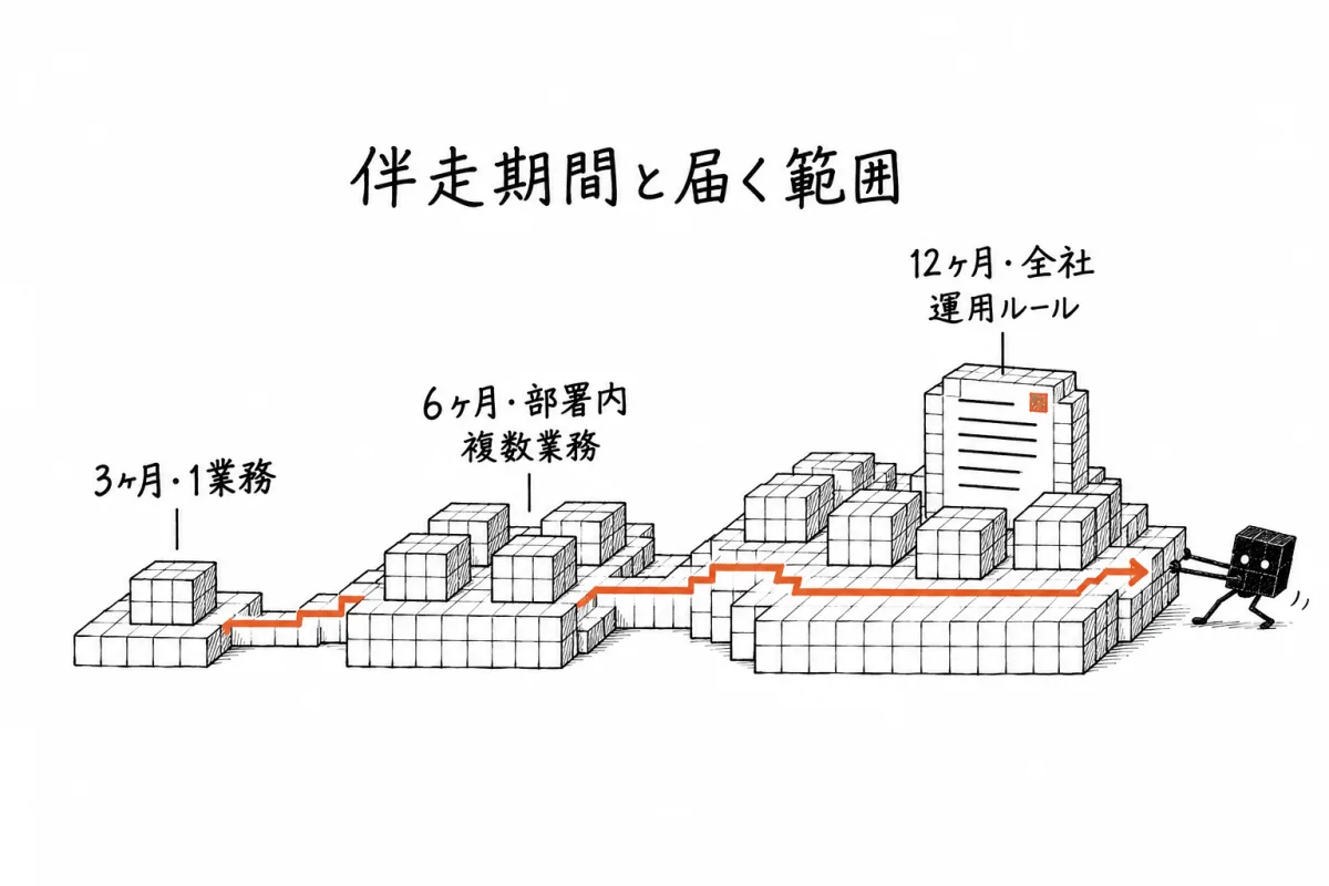 伴走期間ごとに届く範囲。3ヶ月は1業務、6ヶ月は部署内の複数業務、12ヶ月は全社の運用ルールまで広がることを示した図
